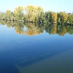Ifam - Ihr Am Main Сasa de vacaciones